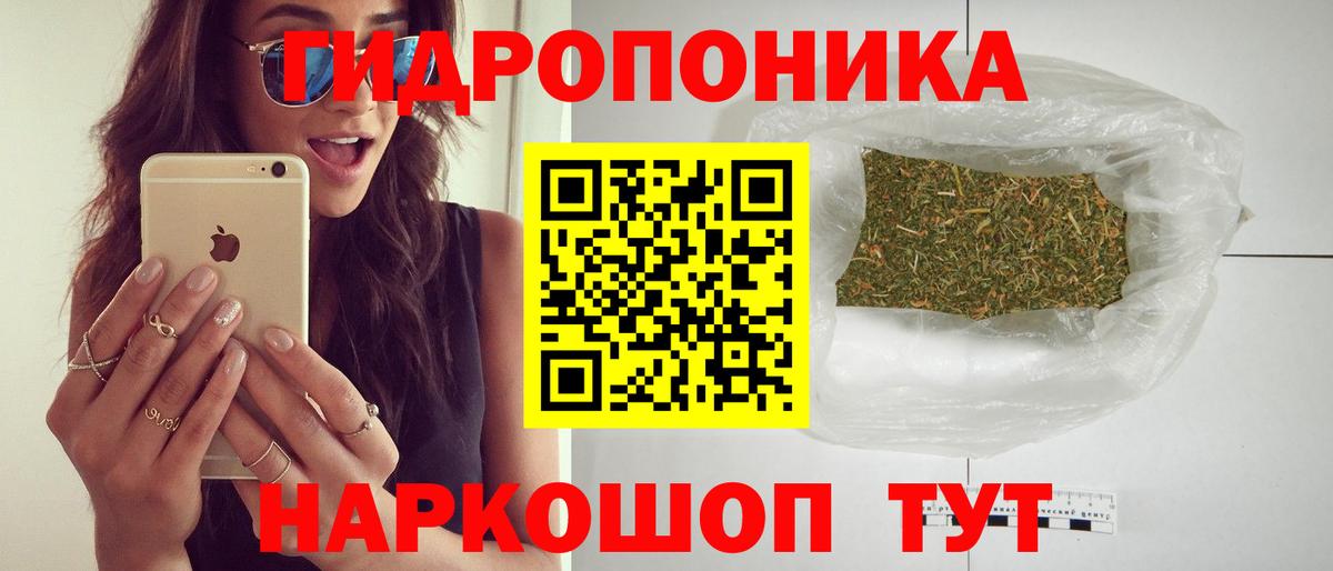 Конопля Amnesia Кировск